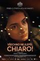 Všechno nejlepší, Chiaro! / A Chiara